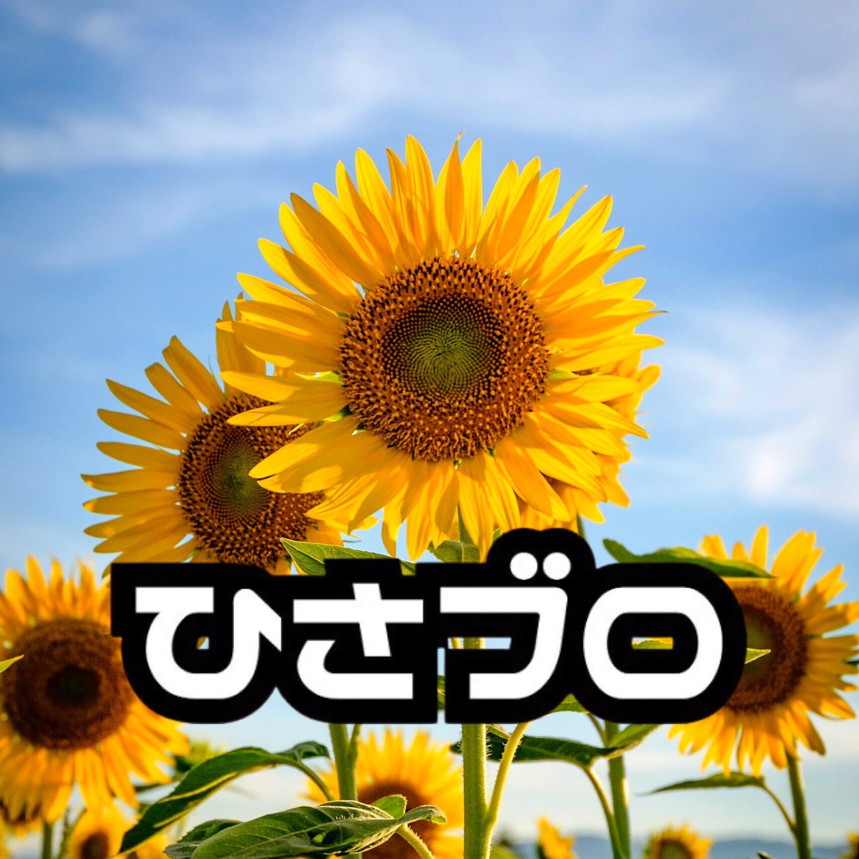 ひさブロ